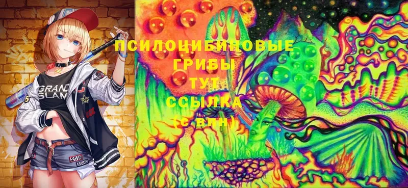 Галлюциногенные грибы Psilocybe  Добрянка 